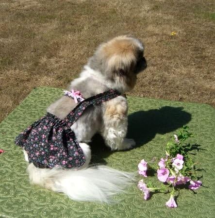 Пола Joybies с цветен модел, за малко кученце X (размер 11-13 см по протежение на гръбначния стълб от яката до основата