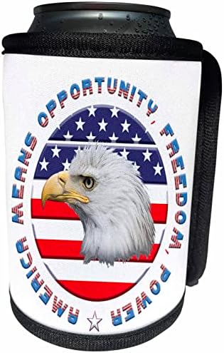 3росите американски флаг, белоголового орлана. Подарък Америка означава. - Опаковки за бутилки-охладители (cc-362812-1)